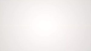 Autosol Rapid Gloss Dryer/ Express Wax (500ml)