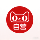 Guoyun Auto Accessories Specialty Store