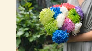 Dung Dịch Nhuộm Hoa tươi Đổi 10 Màu (Combo 10 chai x 10 màu) theo Công Nghệ Israel giúp hoa nhuộm đổi màu theo ý muốn The Color Sodium for Fresh Flowers