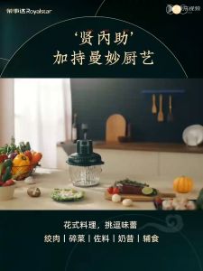 ROYALSTAR Electric Small Meat Grinder/Mix Minced Vegetables/Automatic Multifunctional Food Supplement Machine RS-JR30W/Household Meat Grinder  (Single Pole)