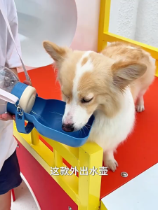 SP94 ขวดน้ำพกพาสัตว์เลี้ยง กระบอกน้ำหมาสะพายได้ 1000ml ปรับสายได้ ใส่อาหารได้ด้วย พกพาสะดวก