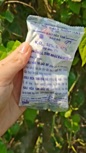 [THIEN THINH SHOP] Phân Bón Lá Giúp Ra Hoa Đậu Trái Chắc Hạt Chống Đổ Ngã- Kali Hòa Tan Đầu Bò 100GR
