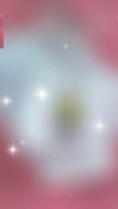 Bộ 5 áo sơ sinh tay Ngắn/ Dài Trắng nút giữa cho bé từ 0 - 12 tháng