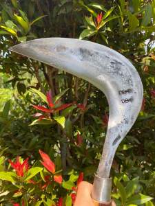 Arit rumputarit padi arit jagung arit full baja asliarit full per baja asliarit rumput siap pakaiarit siap pakaiarit anti rompalsabit rumput super tajamsabit padi siap pakai