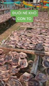 KHÔ CÁ ĐUỐI DƠI ĐẶC SẢN MINH TRIẾT - khô cá đuối dơi nguyên con chất lượng thượng hạng nhiều thịt thơm dai vừa miệng