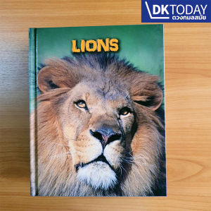 INFOSEARCH LIVING IN THE WILD : LIONS BY DKTODAY