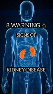 Return Spring - “Premium Kidney Health Formula” Nourishing the Kidneys