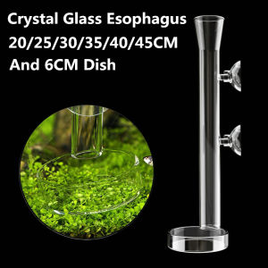 6 Size Glass Aquarium Feeder Tube Dish Fish Tank Shrimp Snail Food Dispenser Bottom Feeding Bowl Aquarium Accessories