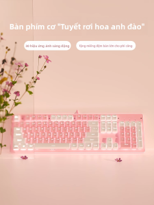 EWEADN | Wireless Gaming & Office Pink Keyboard & Mouse Set 108-Key Mechanical