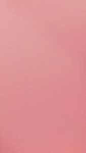 Tusuk Gigi Steril Tusuk Gigi Bambu Steril Tusuk Buah ( Isi 500 Pcs-WTG)