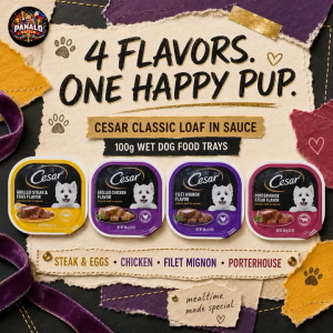 CESAR Classic Loaf in Sauce 1 Tray 100g | USA Imported Filet Mignon Grilled Chicken Grilled Steak and Eggs or Porterhouse Steak Wet Dog Food