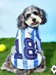 Black Mesh Breathable Dog Jersey Basketball Clothing Schnauzer Teddy Sport Puppy T-Shirts Summer Pet Cat Shirts for Small Dogs