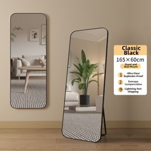 Full Length Dressing Wall Mirror
