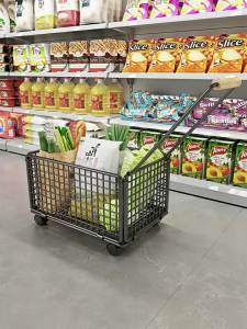 evesigar | Multifunctional Shopping Trolley Portable Cart