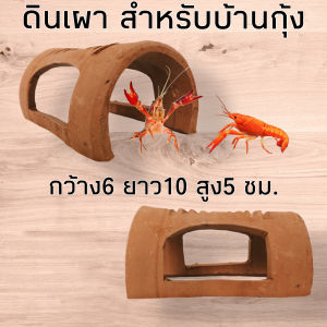บ้านกุ้ง บ้านปลา ตกแต่งแต่งตู้ปลา ดินเผา - สุขภาพสวยใส อยู่ในสถานที่แต่งตู้ปลา