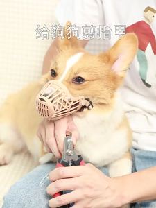 Dogs Nail Clippers & Grinder Set