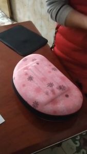 Tas Anjing Kucing Peliharaan Carrier Travel Bahan EVA