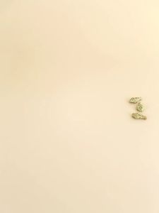 【COCO MALL】คุกกี้มิ้นท์แมว ขนมแมว ช่วยสำรอกก้อนขน ย่อยง่ายและดูดซึม หญ้าแมวฟรีซดราย 1000G ขนมแมวฟรีซดราย ขนมสัตว์เลี้ยง