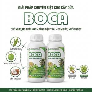 BOCA 500ML - CHỐNG RỤNG TRÁI CHUYÊN DÙNG CHO CÂY DỪA