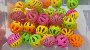 10/20/50Pcs Plastic bird ball Hollow bell ball cat toys for parrot cockatiel love birds accessories