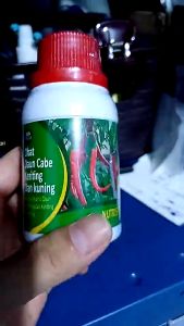 Obat Bulai Cabai Organik Atasi Daun Keriting Karena Virus Gemini