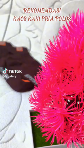 DRKS133 Kaos Kaki Cowok Kaos Kaki Pria Polos Kaos Kaki Ankle Pria Di Atas Mata Kaki 5 pcs Random