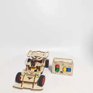 DIY Handmade Science STEM Kit: DIY Remote Control Steering Car : Educational Science Toys: STEM Toy for Kids Wooden Toys