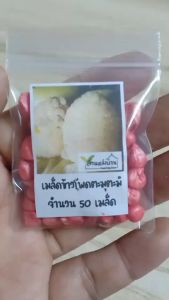 50 เมล็ด ข้าวโพดเทียนแคระ เมล็ดข้าวโพดเทียนแคระ เมล็ดข้าวโพดตะมุตะมิ ข้าวโพดตะมุตะมิ ข้าวโพดเทียน เมล็ดข้าวโพดเทียน ข้าวโพด เมล็ดข้าวโพด