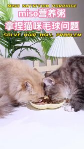 MISO CAT NUTRITION PORRIDGE HYDRATE SOUP MIXED FOOD WET FOOD 0 ADDED SNACKS DUCK CHICKEN(62G)MISO猫咪营养粥汤补水骗水湿粮拌粮0添加零食鸭肉