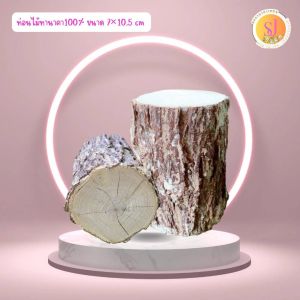 ไม้ทานาคาพม่าแท้ 100% ท่อนใหญ่