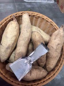 Vintage Style Home Use Peeler Potato Scraper Fruit Iron Scraper Kitchen Cooking Tool Fruit Peeler Vegetable Cutter