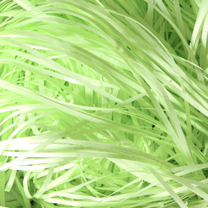 Laffey Grass Fillers Macaron Color Gift Box Paper Shred Packaging Simple Style Wedding Celebration Supplies Sugar Box Accessories