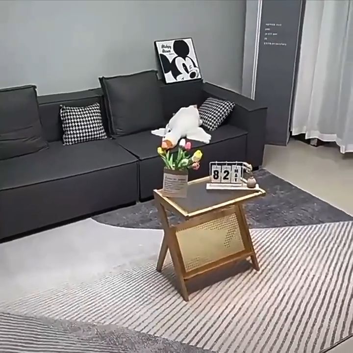 Living room bedroom carpet large size simple modern beige elegant