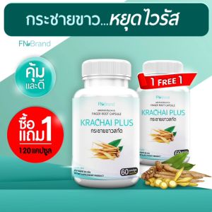🔥ส่งฟรี! ส่งไว🔥 FN Krachai Plus กระชายขาวสกัดชนิดแคปซูล (ซื้อคู่= 120 แคปซูล) เสริมเกราะให้ร่างกายด้วยธรรมชาติ กระชายขาว+พลูคาว+ขิง
