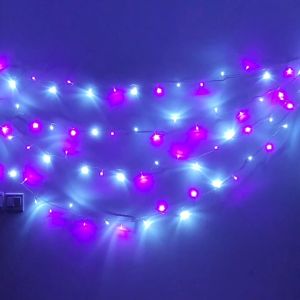 STARZ - SG SAFETY MARK 31V 10 Meter 100 Led Splash Proof Decoration Led Fairy String Lights Purple with Pure White Christmas Tree Decoration
