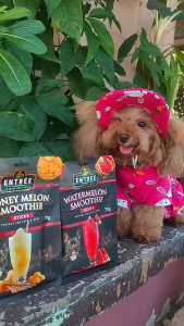 70g Entree Treats Gourmet Smoothie Pet Snack Food All Stages Adult Puppy