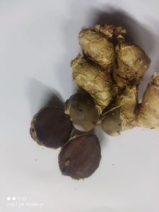 Kunyit hitam sangat bermanfaat untuk kesehatan menyehatkan badan per 100 gram