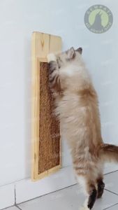 SEMPATI Garukan Kucing Tempel Dinding Size Jumbo 60cm Mainan Papan Garukan Cakaran Kucing Cat Kitten Adult Anabul Cat Scratcher Mainan Anti Stress Kucing