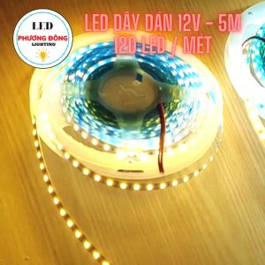 COMBO 5 CUỘN LED DÂY DÁN 12V - 120 LED/MÉT TRẮNG - VÀNG - TRUNG TÍNH