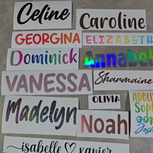 Custom Name Vinyl Stickers - Personalised Waterproof Multiple Colours Multiple Fonts for Bottle Bicycle Helmet Laptop Notebook Files Shadow Boxes & Teachers Day Gifts.
