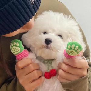 MONLEYTA | Dog Socks Anti-Scratch Dirty Proof Non-Slip Pet Shoes Teddy Bichon Yorkie Cat Shoes Dog Foot Covers Universal Pet Supplies