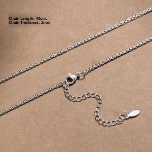 ZHENGZHAO | Titanium Steel Chain Necklace Unadorned