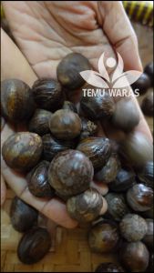 Biji Pala Bulat Kering Asli: Nutmeg Bulat 250gr, 500gr, & 1kg