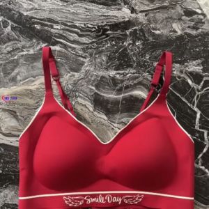 Bra Push Up Seamless Wanita Bahan Ice Silk Premium Cup ABC ( Cup A-C kecil) Ukuran 40-65 kg W014