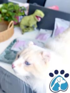 คุ๊กกี้ฟรีซดรายอูงเท้าน้องแมว 4 รสชาติ ป้องกันการกำจัดขนของลูกแมว LI0535