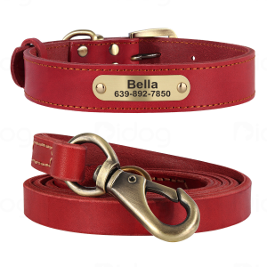 JINLINGJIE | Engraved Genuine Leather Collar Small Dogs