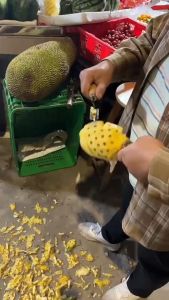 Dụng cụ loại bỏ mắt dứa chuyên dụng