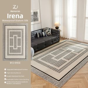 ZHUOYI | Stain Resistant Washable Luxury Diatomite Silk Rug