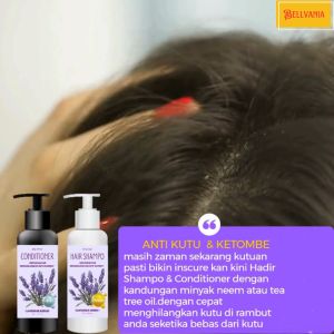 BELLVANIA sampo rambut dan conditioner 250ml BPOM termurah lavender series untuk anti kutu solusi rambut berkutu  dan gatal/shampoo rambut terlaris