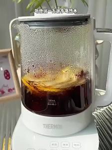 [China Plug Without Adapter] Thermos | Pure Titanium Multi-Function Kettle for Office